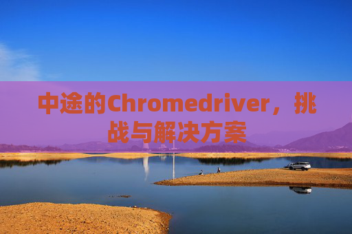 中途的Chromedriver，挑战与解决方案
